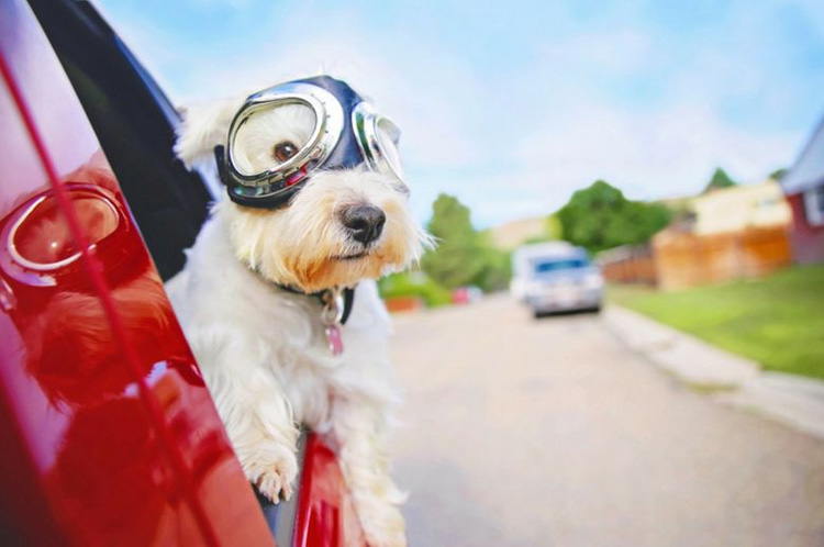 The quickest way to cool your car down