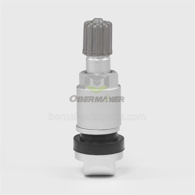 TPMS for Chana