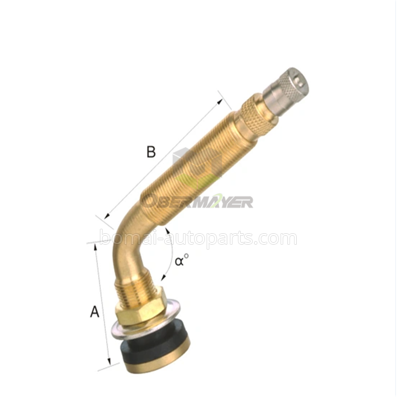 Tubeless TR573C tire valve