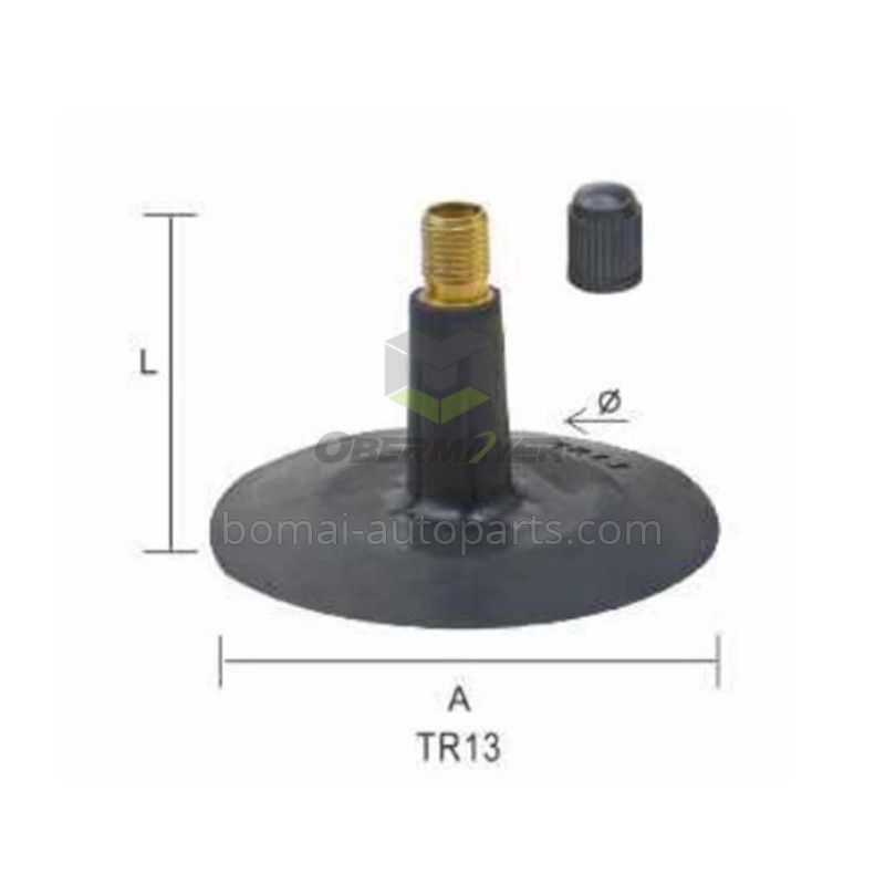 Tire Valve TR13