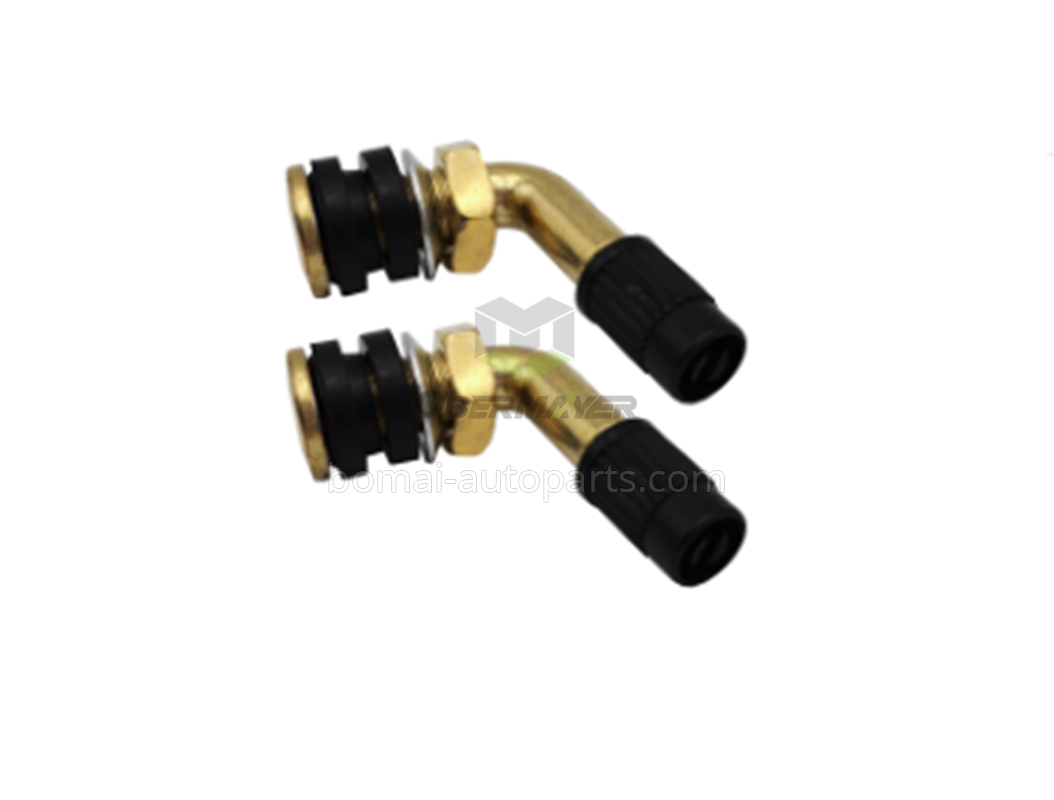 Motorcycle valves PVR32