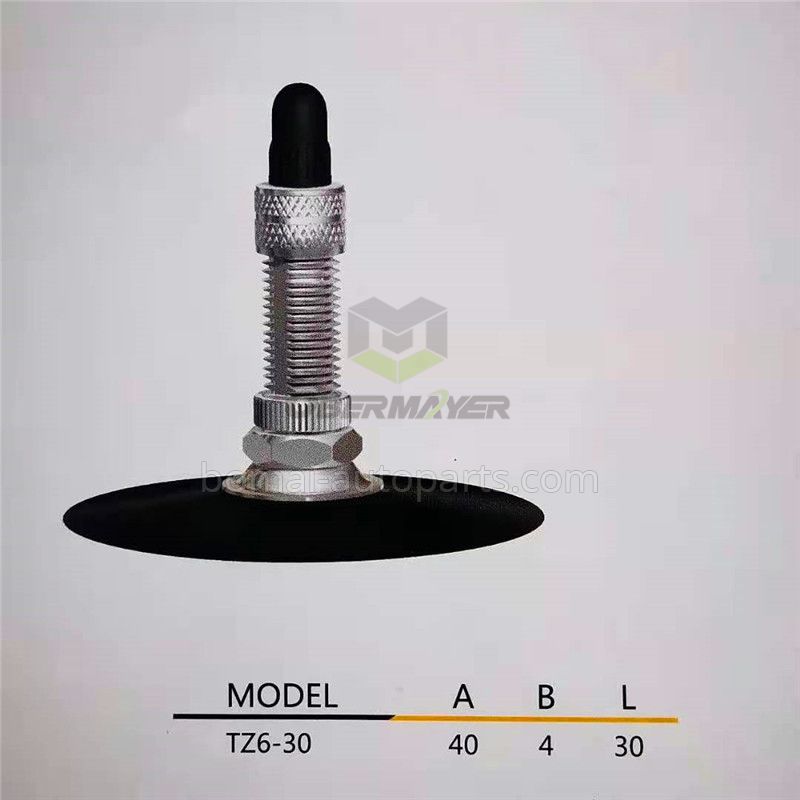 Bicycle Tube Tire Valve TZ6-30