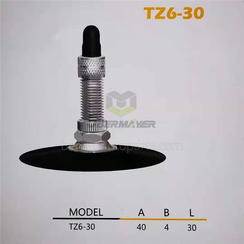 Bicycle Tube Tire Valve TZ6-30