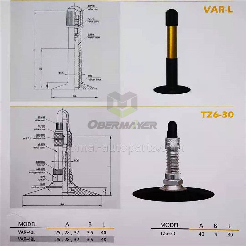 Bicycle Tube Tire Valve TZ6-30