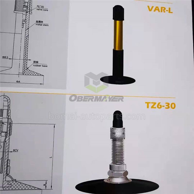 Bicycle Tube Tire Valve TZ6-30