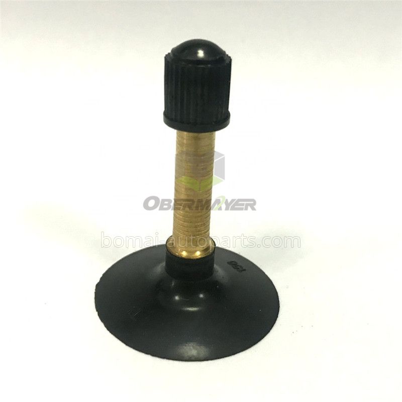 Motorcycle Tire Valve CR202