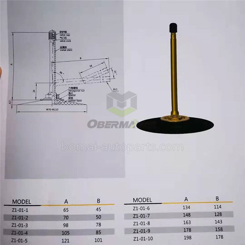 Tubeless Z1-01 Tire Valve