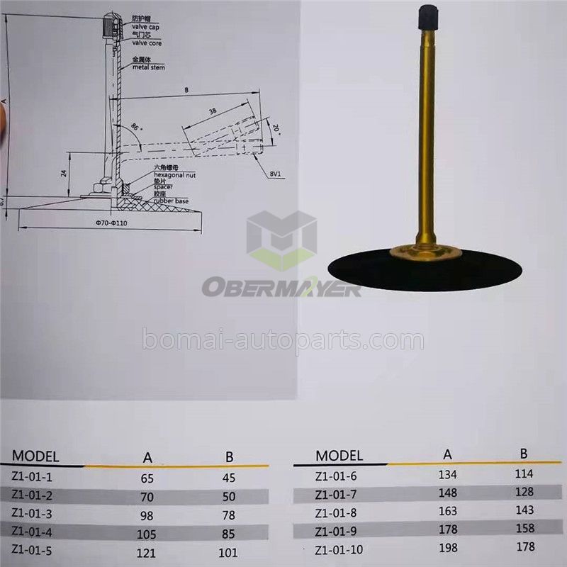 Tubeless Z1-01 Tire Valve