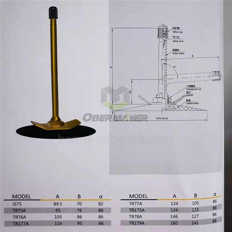 Tubeless TR75A Tire Valve