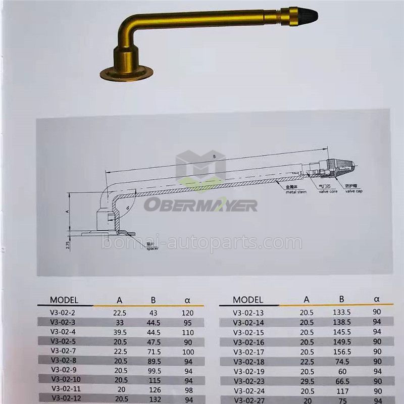 Tubeless V3-02 Tire Valve