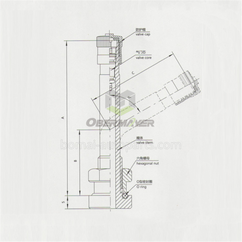 TR543D tire valve