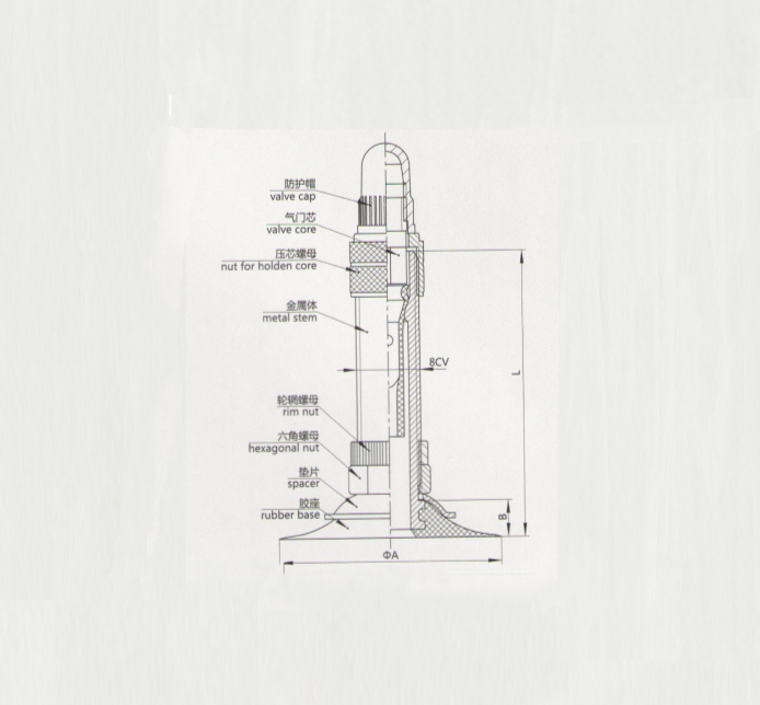 Bicycle Tube Tire Valve TR1-48L