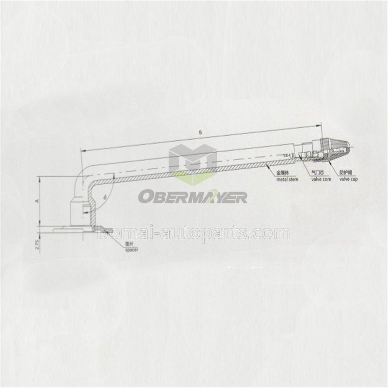 Tubeless V3-02-2 Tire Valve