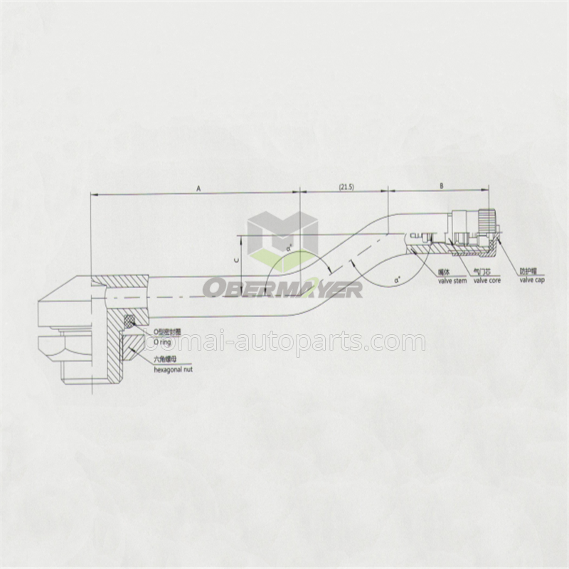 V3-18-1 tire valve