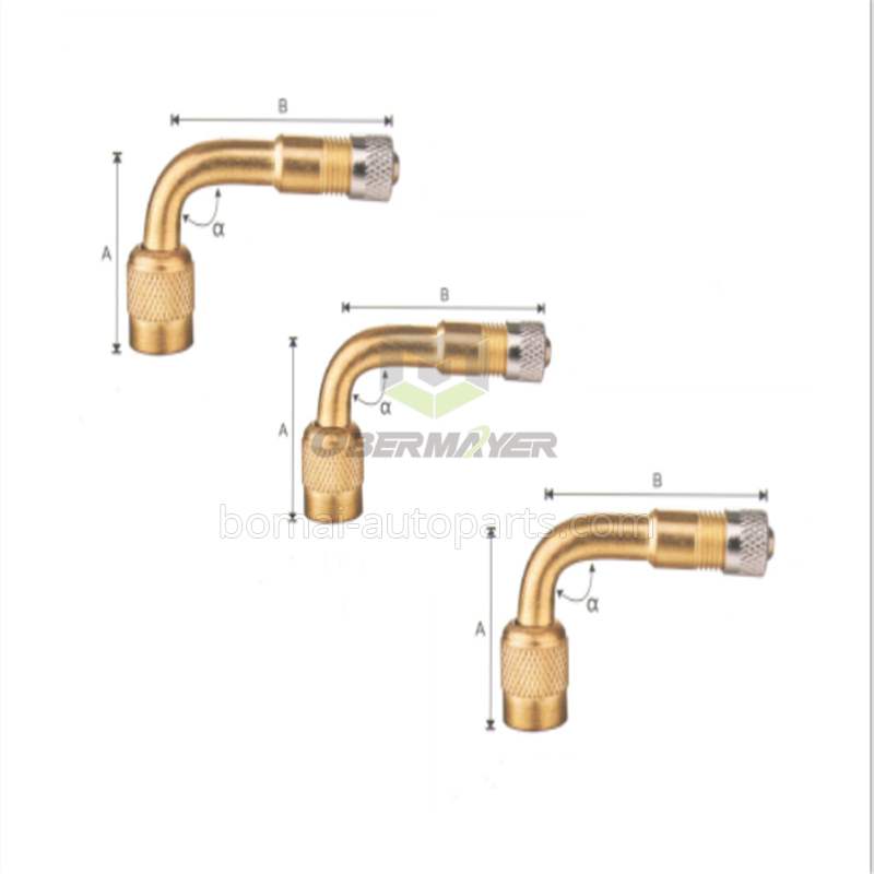 Tire Valve Extention KSE29B-45°