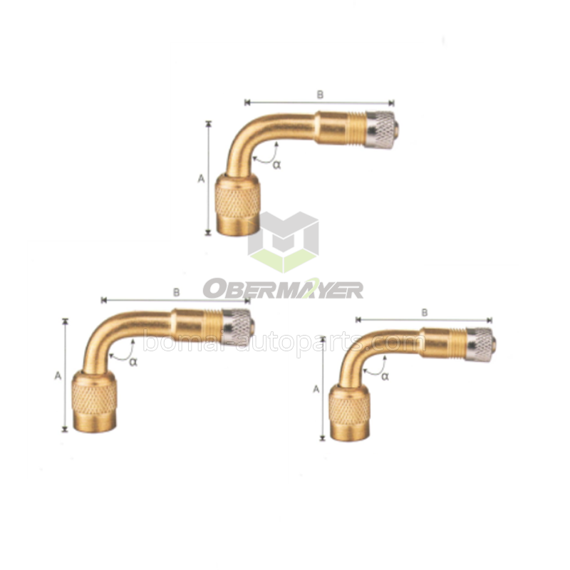 Tire Valve Extention KSE34B-135°