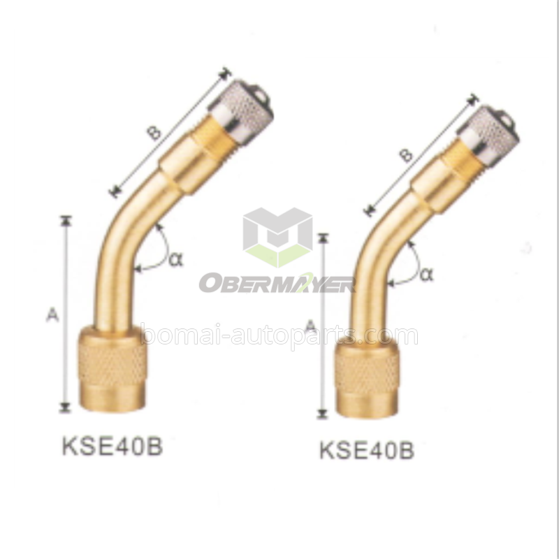 Tire Valve Extention KSE40B-90°