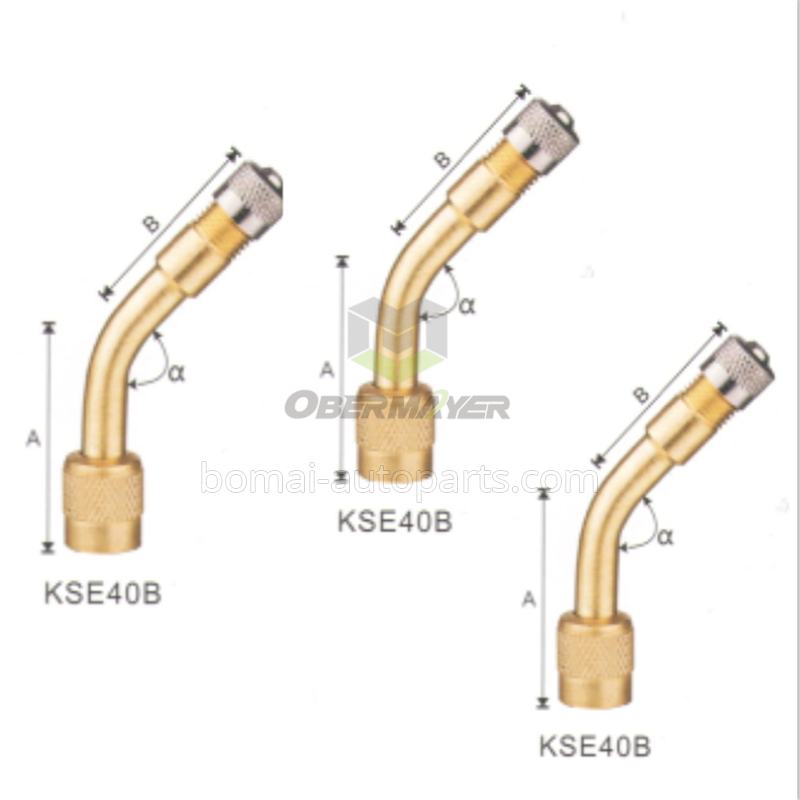 Tire Valve Extention KSE40B-90°