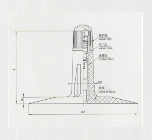 TR13 tire valve for light truck