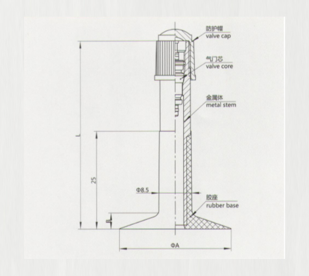 VAR-48L tire valve