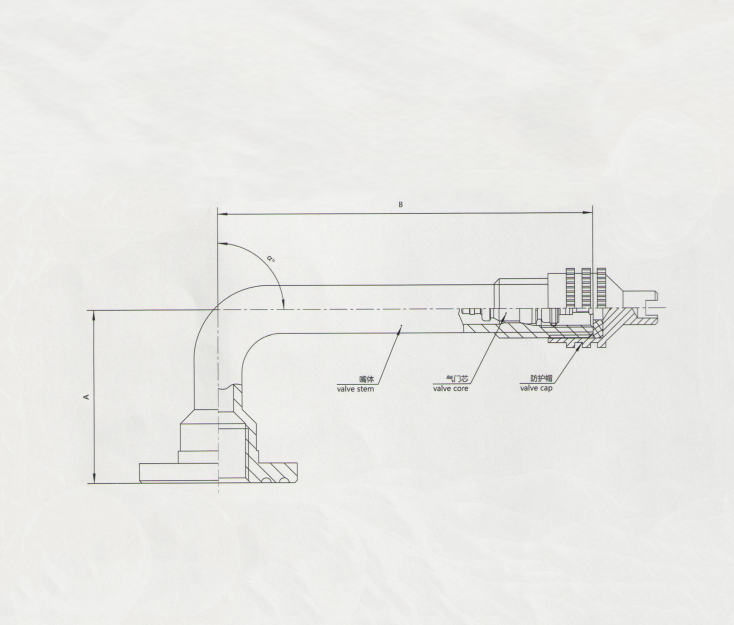 TR1076A tire valve