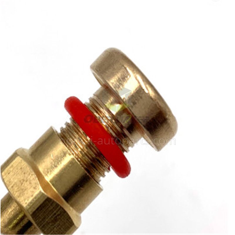 Tubeless v3-20-1 tire valve