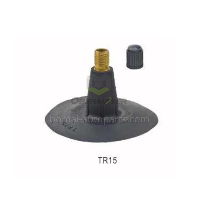 Tire Valve TR15