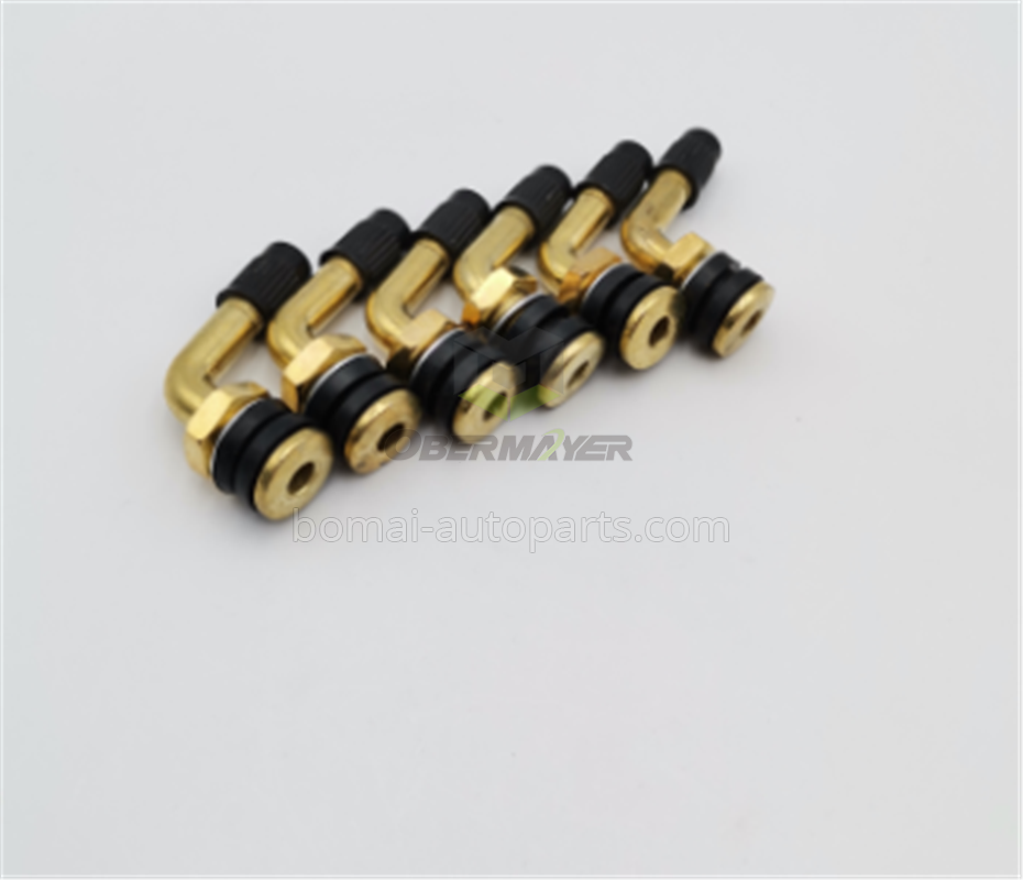Motorcycle valves PVR32
