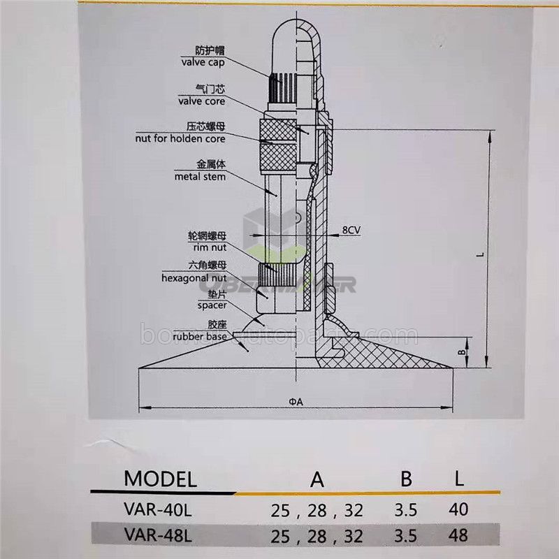 Bicycle Tire Valve TZ6-30