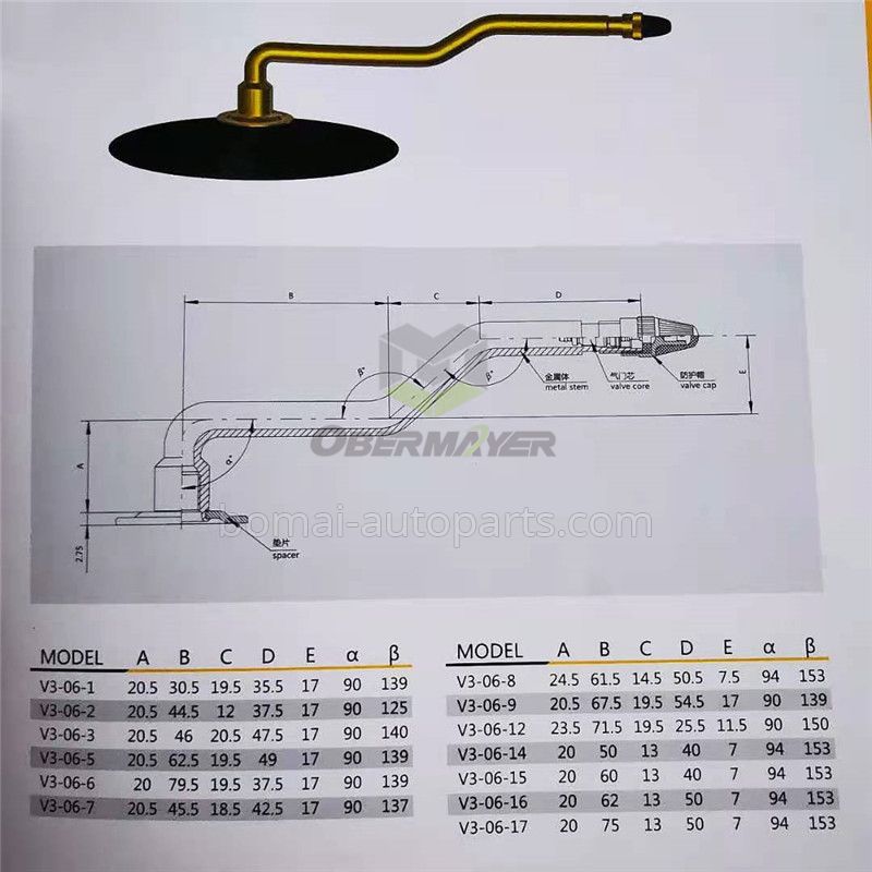 Tubeless V3-06 Tire Valve