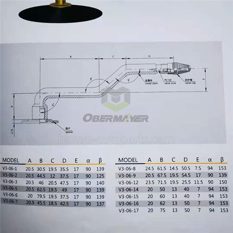 Tubeless V3-06 Tire Valve