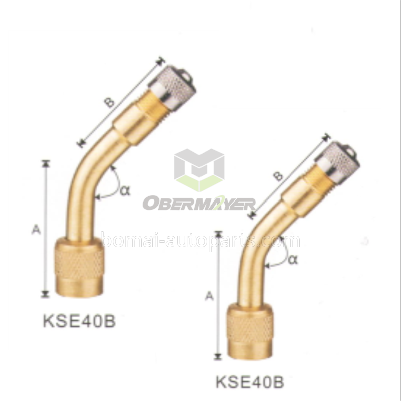 Tire Valve Extention KSE40B-45°