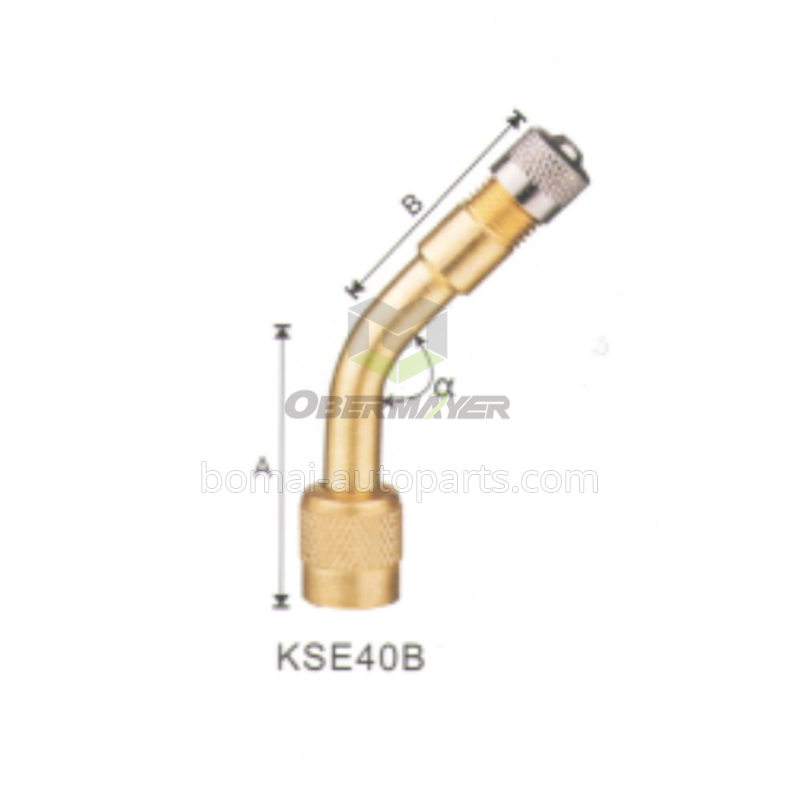 Tire Valve Extention KSE40B-135°