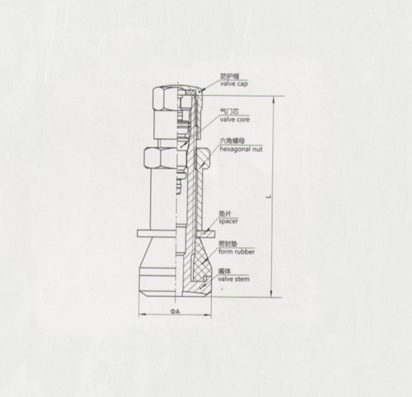 TR416SSS tire valve