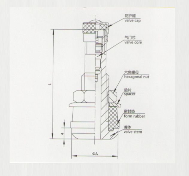 TR416 tire valve