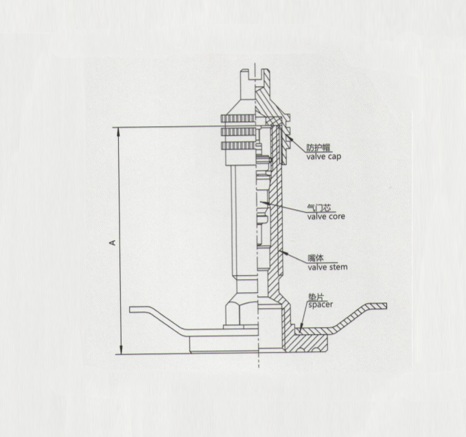 TRJ1014A tire valve