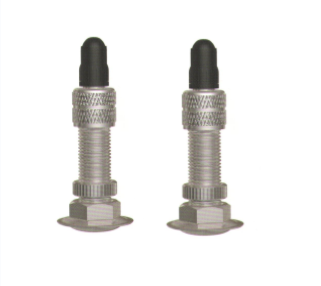 TZ6-28 tire valve