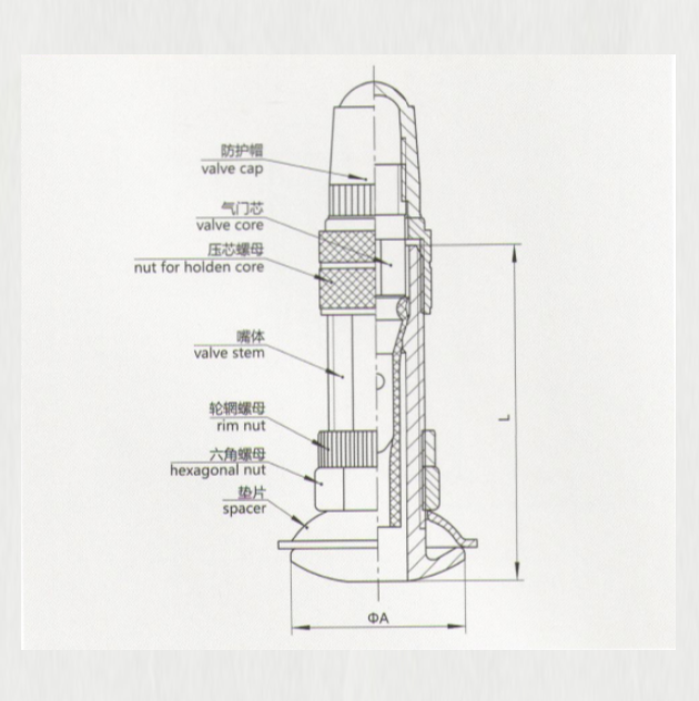 TZ6-28 tire valve