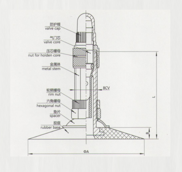 TZ6-30 tire valve