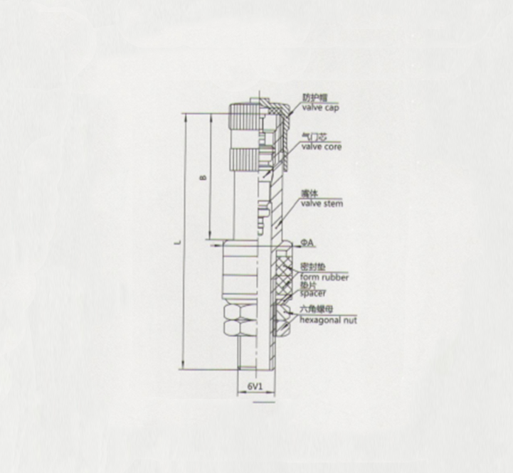 V-1 tire valve