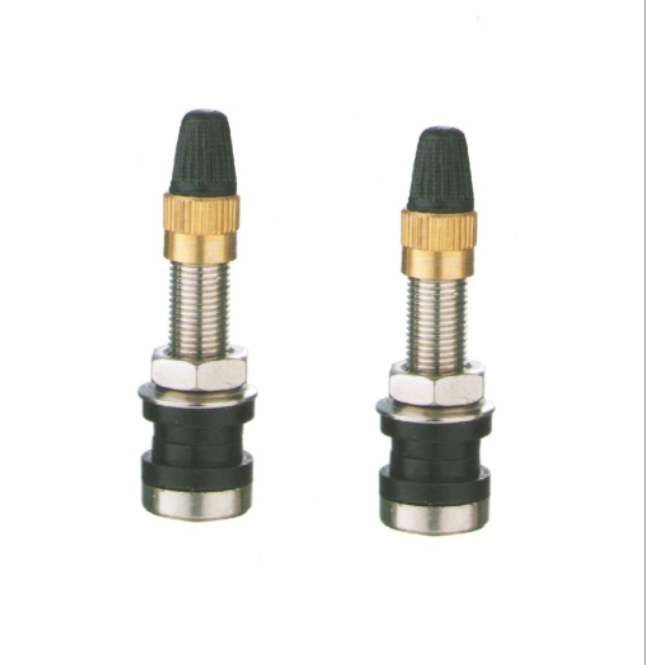 JS430 tire valve