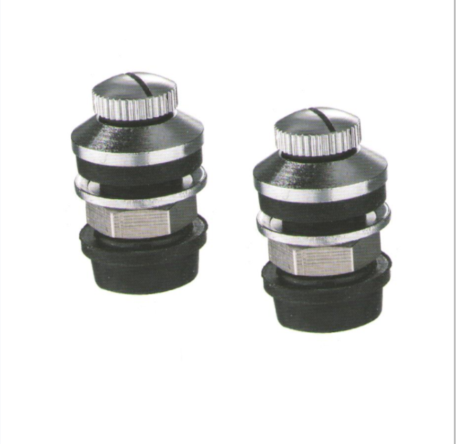 SP518 tire valve