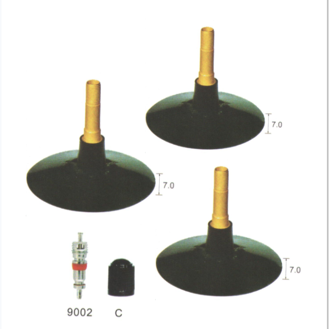 TR300 tire valve